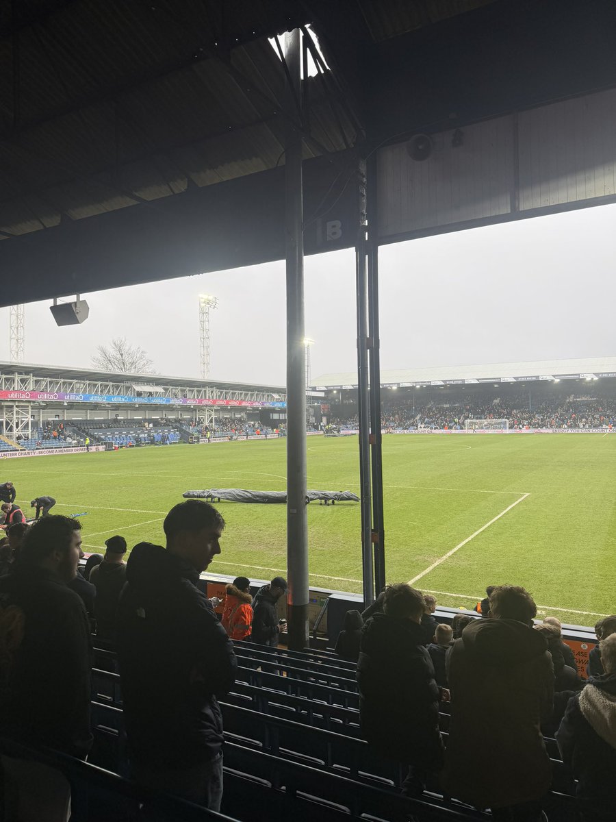 Shepps 🐝 tweet media