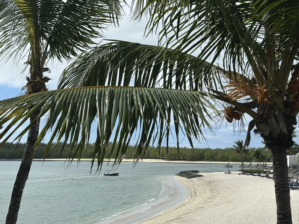 USTALARDAN MAİRİTİUS DERSLERİ 

“Benim mesleğim ve sanatım yaşamaktır” der Michel de Montaigne, yaşamı bir hedefler dizisi ya da dışsal başarılar toplamı olarak değil, bizzat icra edilen bir pratik olarak kavradığını göstererek.

Katılıyorum, bağlantısallık bilimi açısından