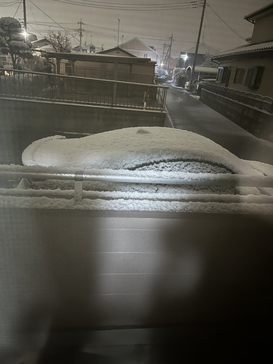 雪降ってんだけど。