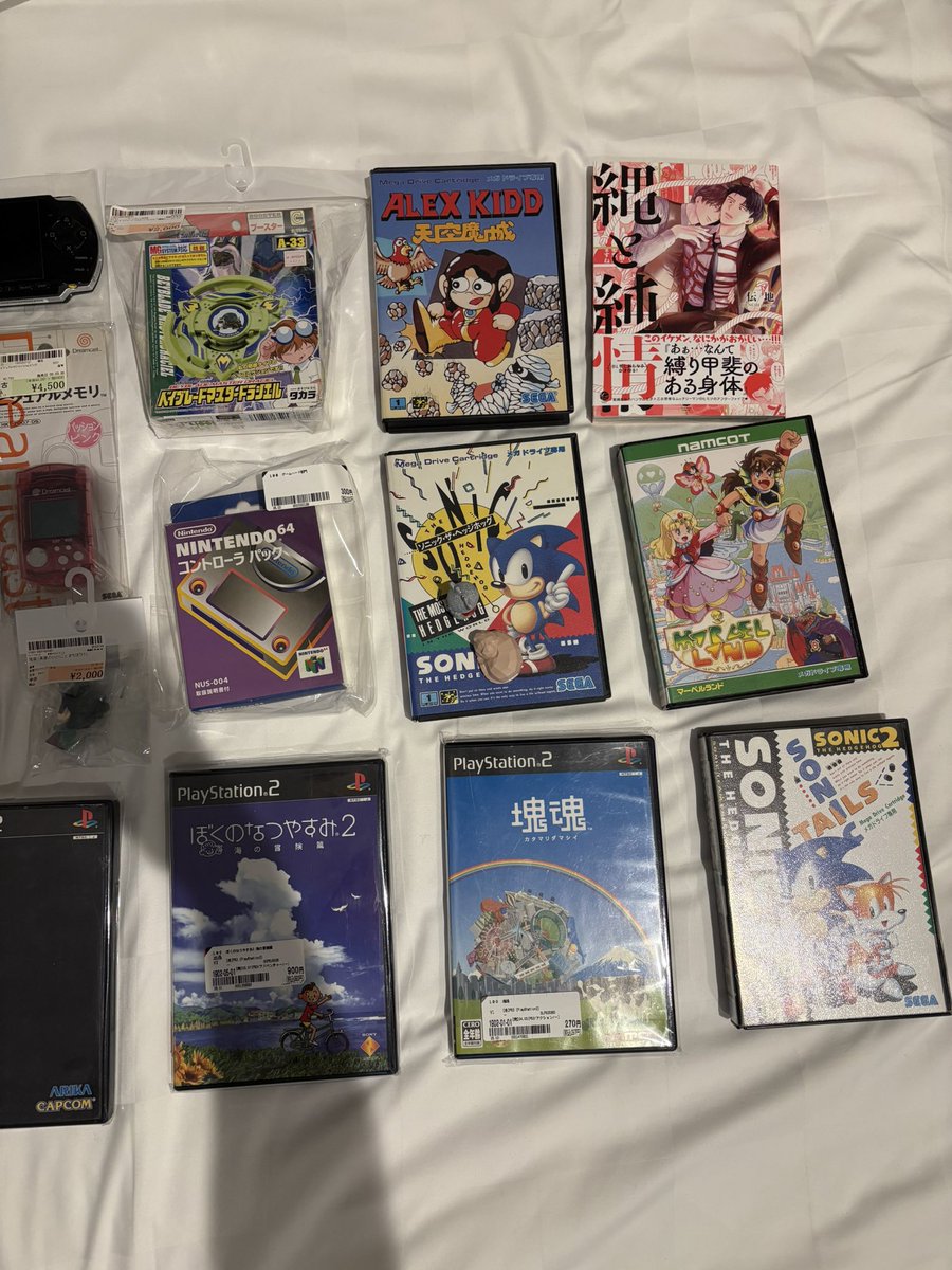 Day 8: we just went shopping in Nagoya look at all the games I got.