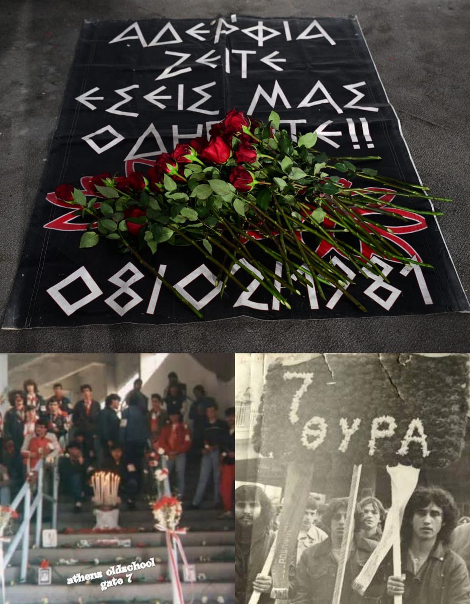 Gate 7 Official Page tweet media