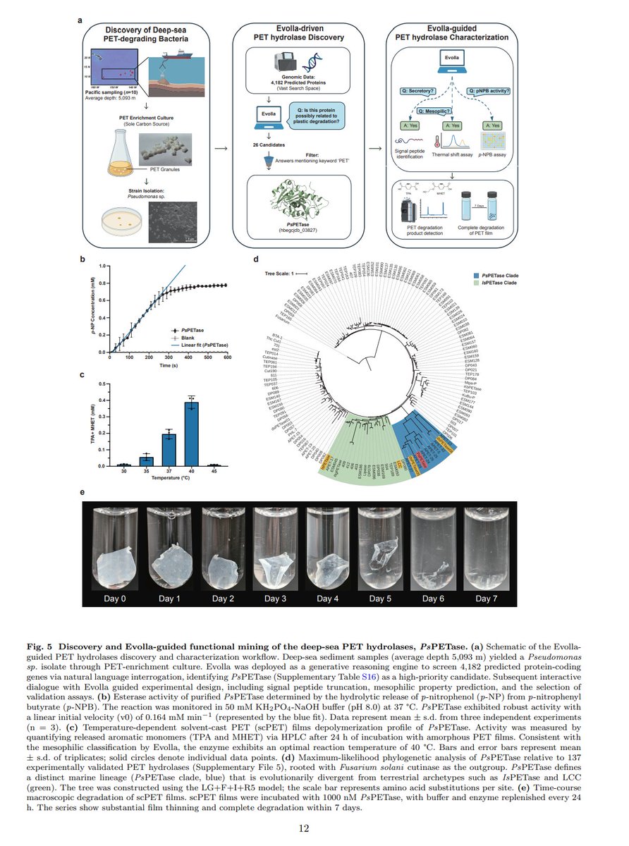 fajie yuan tweet media