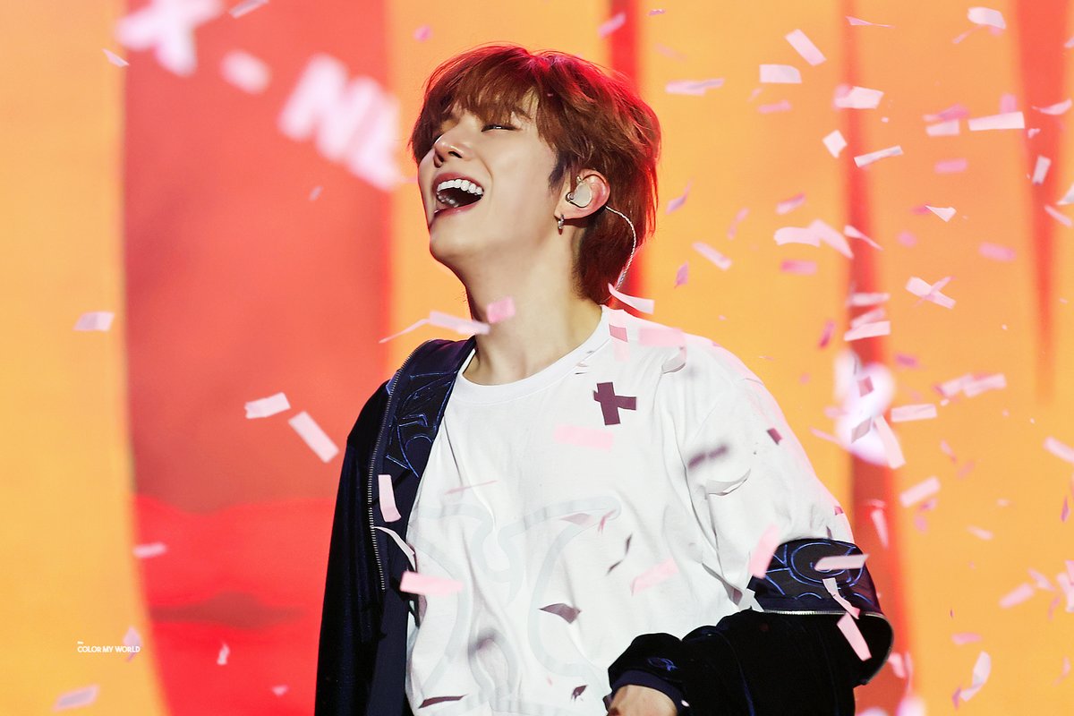 컬러마이월드 tweet media