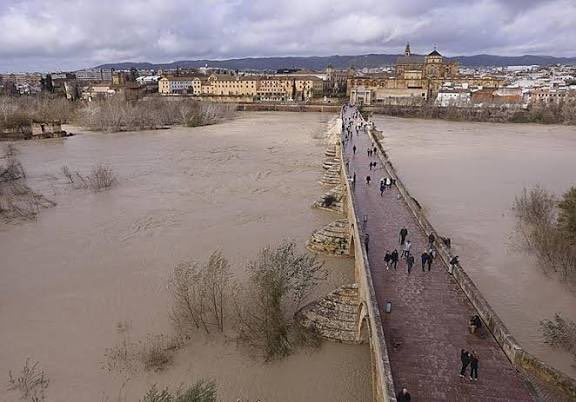 Federación Entidades Culturales Andaluzas (FECACV) tweet media