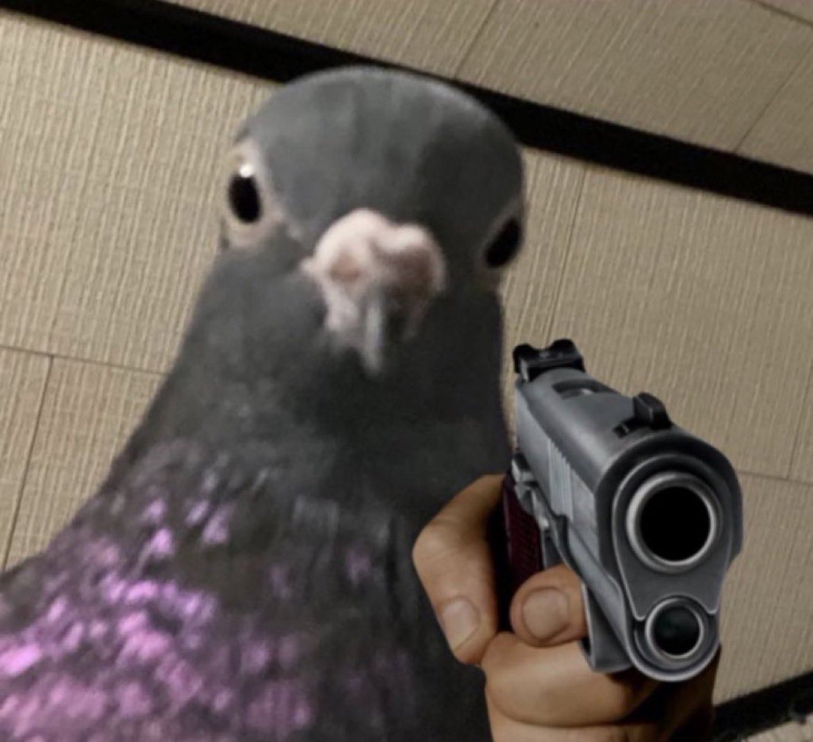 level941's tweet image. Give me the 500 SOL 

TODAY 
NOT ASKING AGAIN