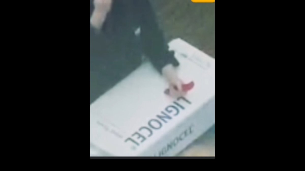 Hellsbells tweet media