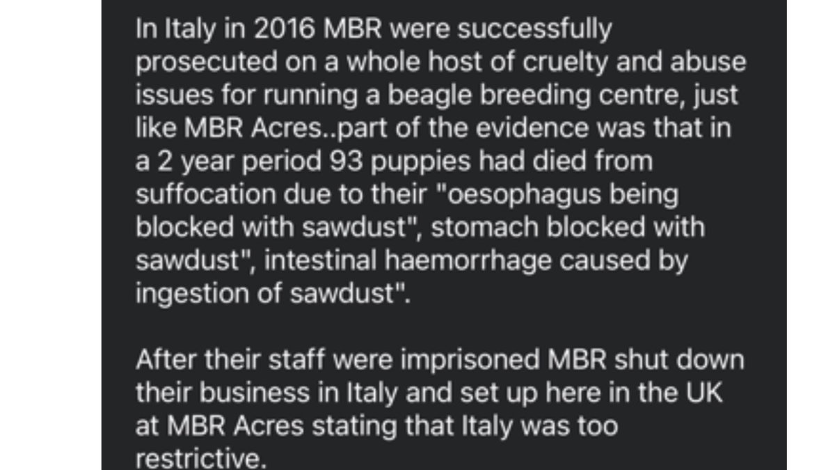 Hellsbells tweet media