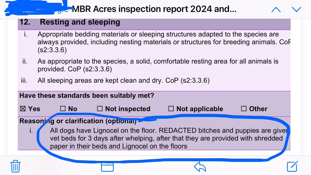 Hellsbells tweet media