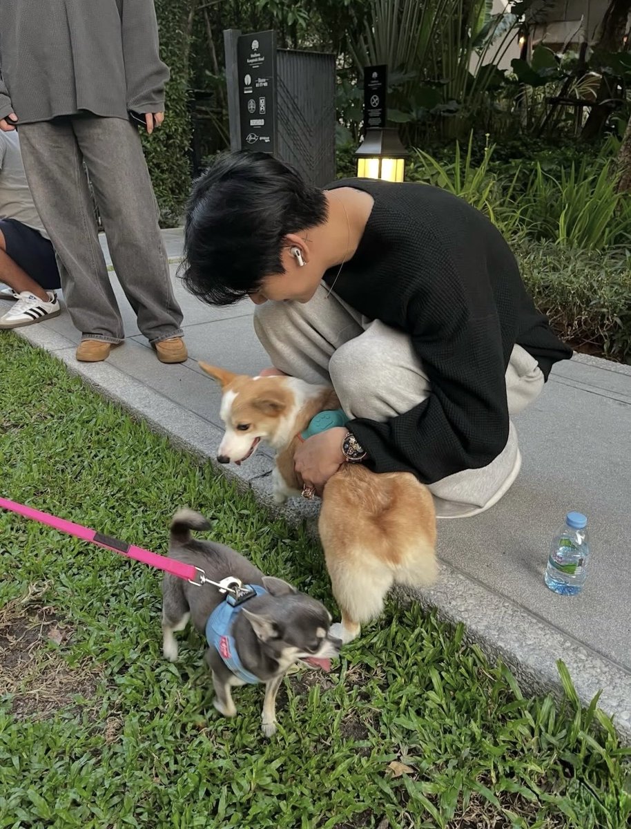 📸 The photos with dogs 🐶 including your dog and when you say in videos to explain your day : "…. And today I petted a dog"... 🤗✨ It might just be a small detail 🤏🏼 but you mention it, that moment happened you talk about ! 🫶🏼 It's really sweet when I hear it, it's guaranteed