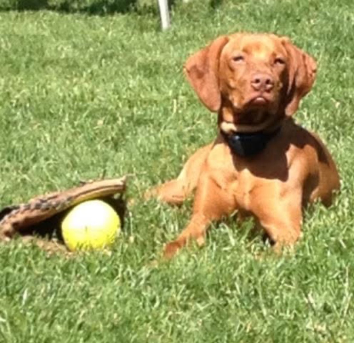 Lillie Hopf 2027 tweet media