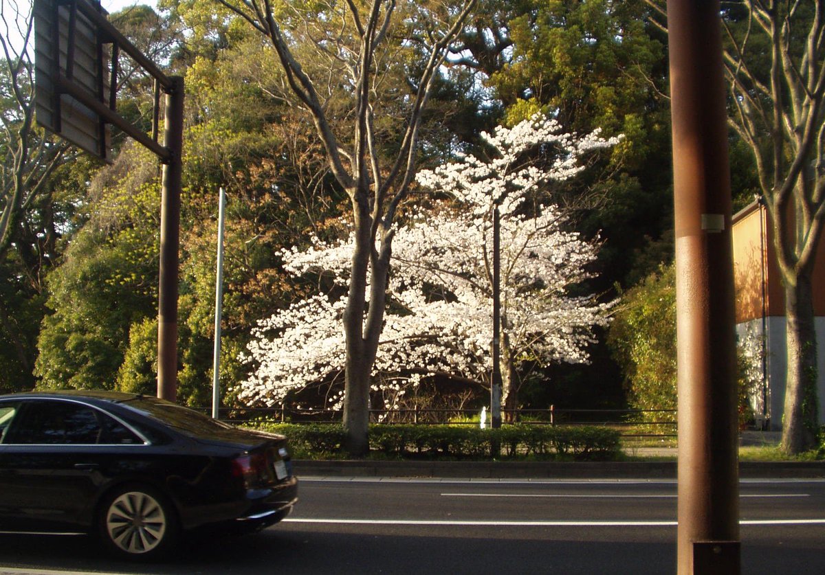 cltarv's tweet image. 