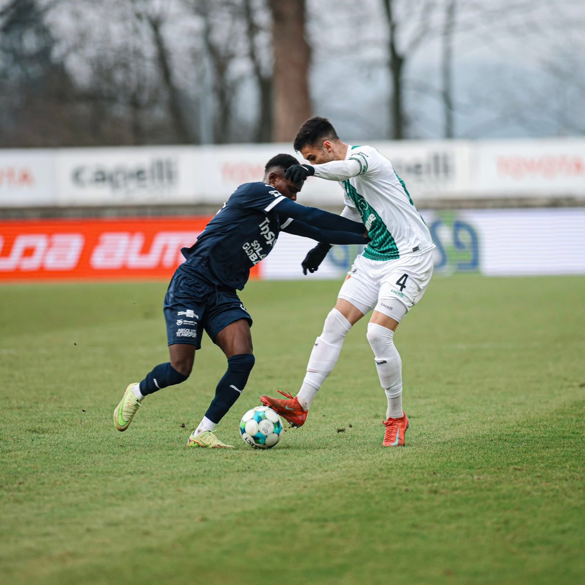 Tomáš Kohout tweet media