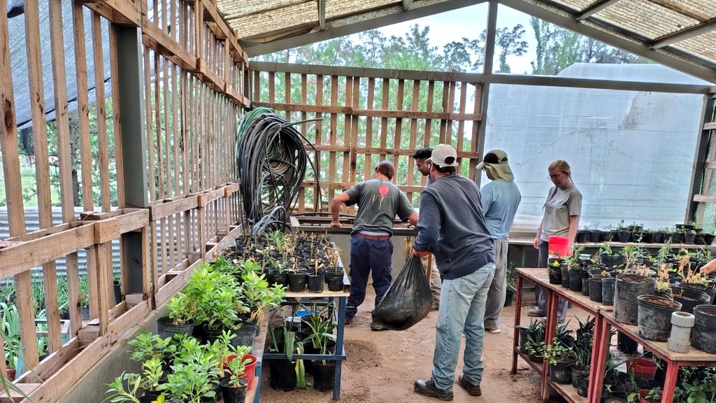 ¡Los trabajos en el vivero #RayenPiuken🌿 no se detienen!💪

Este enorme trabajo en equipo sigue poniendo en valor el vivero🌱, que día a día está más operativo y productivo.
Sabemos que aún falta, pero nos llena de orgullo❤️ todo lo que venimos construyendo juntos hasta acá.🙌
