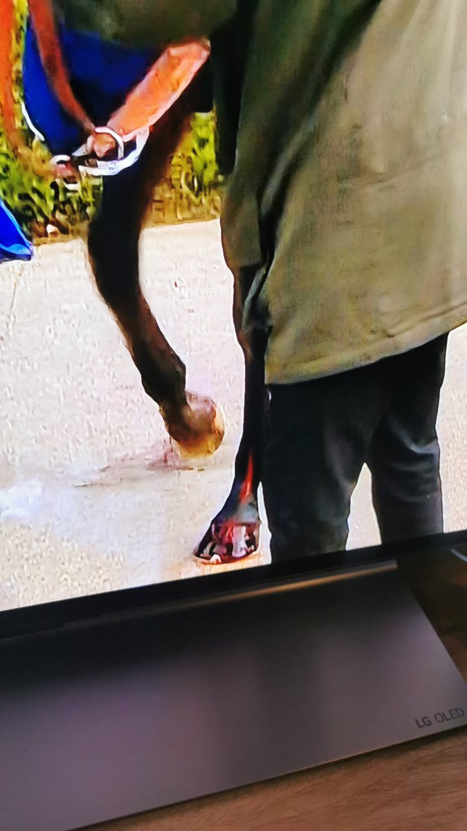 JimWeeks82's tweet photo. @LottieBeaMakes @itvracing @NdeBoinville Cut on his leg, nobody has mentioned it yet. Hope he's OK. https://t.co/DH9CKLAxkl