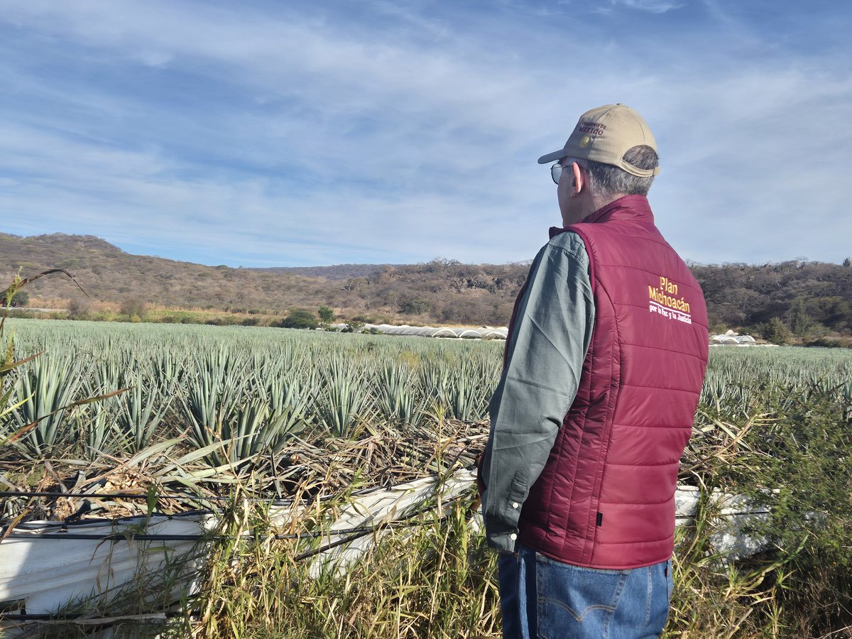 Hoy estaré en Michoacán platicando con pequeños productores. Ahora en Jacona, camino a reunirme con pequeños productores de fresa. En la zona también hay agave tequilero.
#PlanMichoacán