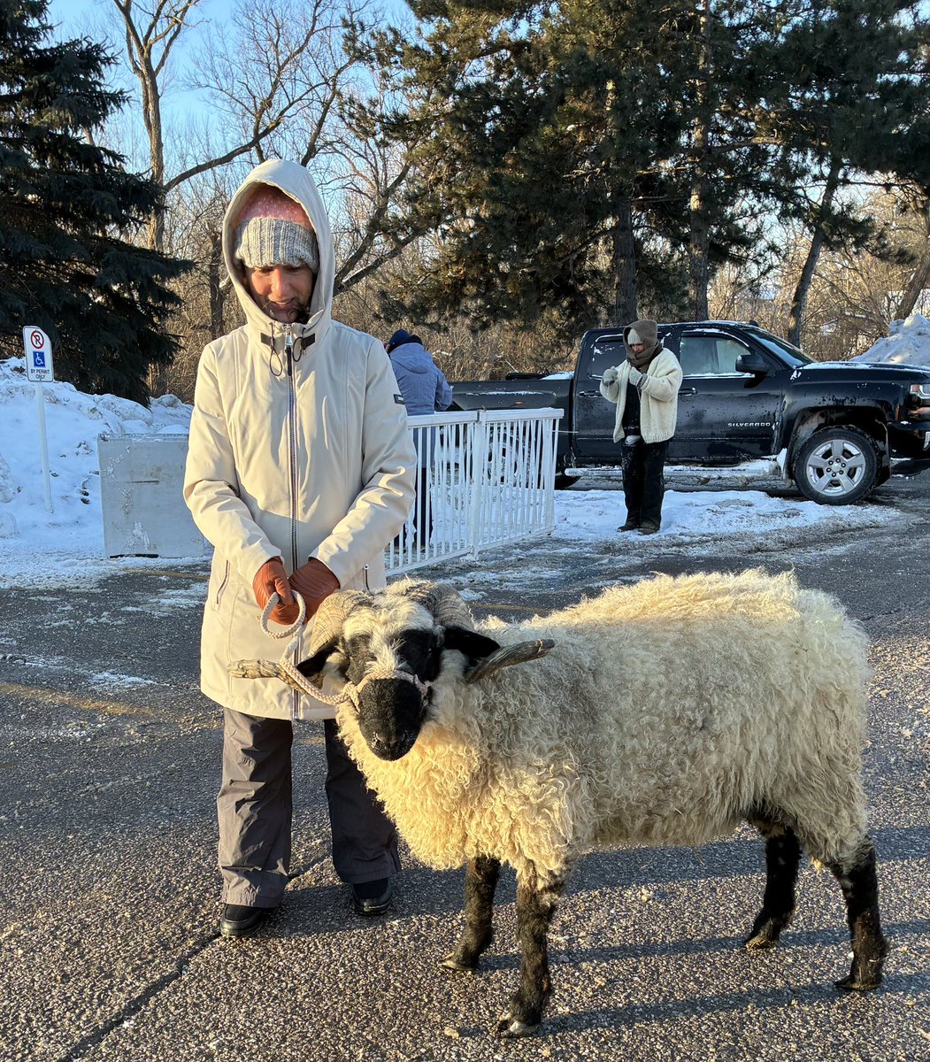 We’re heating up the fire pit and Bailey the black-faced sheep is ready to greet you at the 57th annual <a href="/RHWCarnival/">RH Winter Carnival</a> at Mill Pond Park! For all the details, visit wintercarnival.net