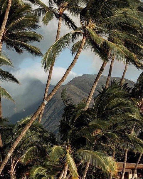 Resonance’s Law: What you align with, you attract.

A reminder that your thoughts, energy, and actions shape your reality.

Tune in to what you want.