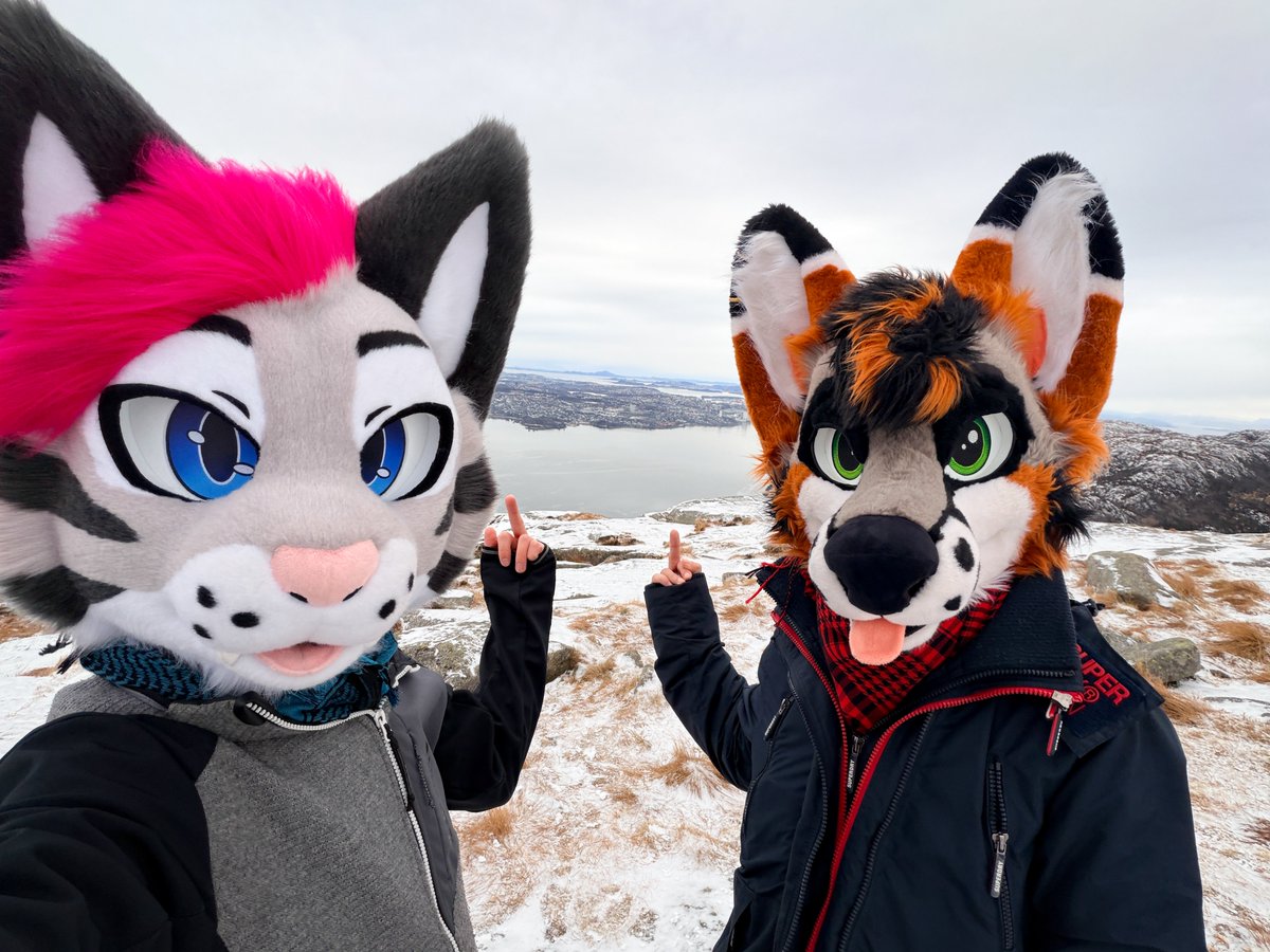 Soju cat ➔ LVFC, CFZ tweet media