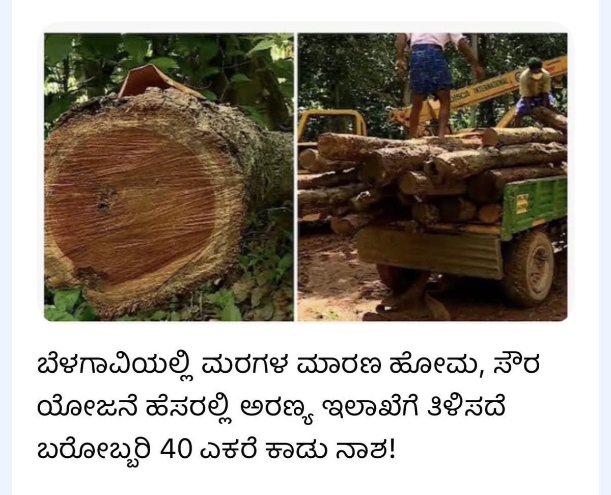 ಸಚಿವೆ ಲಕ್ಷ್ಮೀ ಹೆಬ್ಬಾಳ್ಕರ್ ಅವ್ರ ಕ್ಷೇತ್ರದಲ್ಲೇ ಸೌರ ಯೋಜನೆಯ ಹೆಸರಲ್ಲಿ ಅರಣ್ಯ ಇಲಾಖೆಗೆ ತಿಳಿಸದೆ 40 ಎಕರೆ ದಟ್ಟ ಕಾಡಿನ ಮಾರಣಹೋಮ. ಮರಗಳ ಈ ಅಕ್ರಮ ಕಟಾವು ನಡೆಯುತ್ತಿದ್ದರೂ ಯಾಕೆ ಸುಮ್ನಿದಿರಿ? ಇದು ಅಭಿವೃದ್ಧಿ ಅಲ್ಲ, ಪರಿಸರದ ಹತ್ಯೆ. ತಪ್ಪಿತಸ್ಥ ಅಧಿಕಾರಿಗಳು ಮತ್ತು ಪ್ರಭಾವಿಗಳ ಮೇಲೆ ತಕ್ಷಣ ಕೇಸು ಹಾಕಿ. <a href="/aranya_kfd/">Karnataka Forest Department</a> #Belagavi