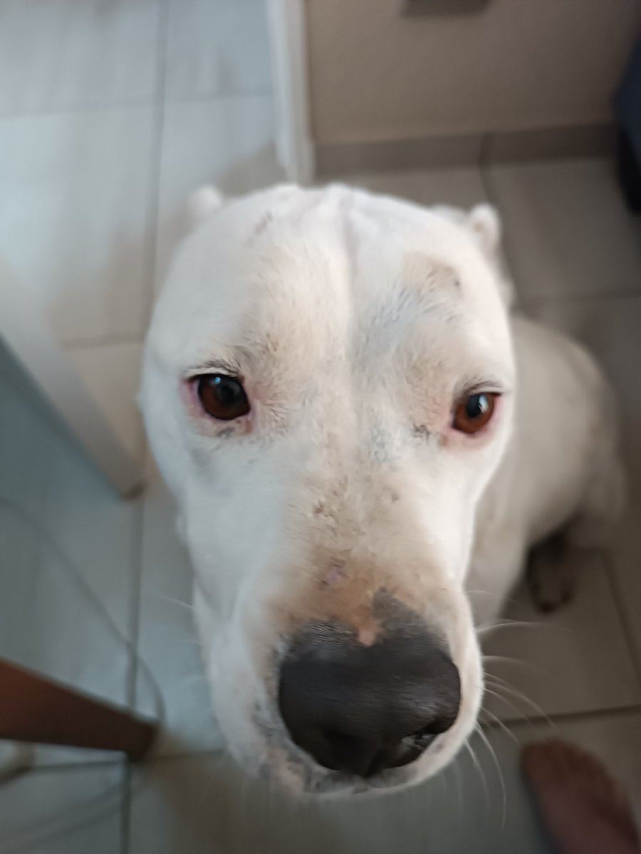 Marcus Van Wyk tweet media