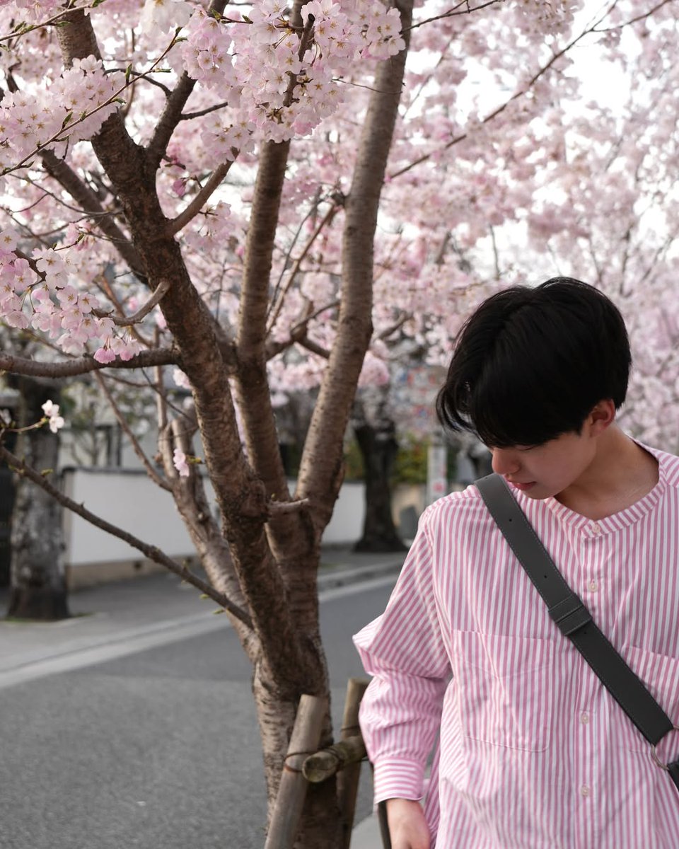 shionyx_'s tweet photo. 𝐓𝐡𝐢𝐬 𝐯𝐢𝐞𝐰, 𝐩𝐞𝐫𝐟𝐞𝐜𝐭𝐥𝐲 𝐜𝐨𝐦𝐩𝐥𝐞𝐭𝐞. 

📍 𝙷𝚒𝚐𝚊𝚜𝚑𝚒𝚢𝚊𝚖𝚊, 𝙺𝚢𝚘𝚝𝚘 https://t.co/c8EW4XUySI