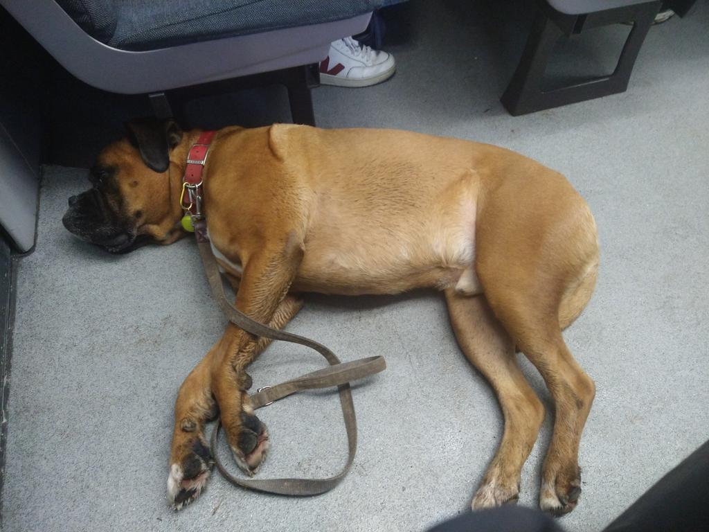 jason sparks (r.i.p frazz) tweet media