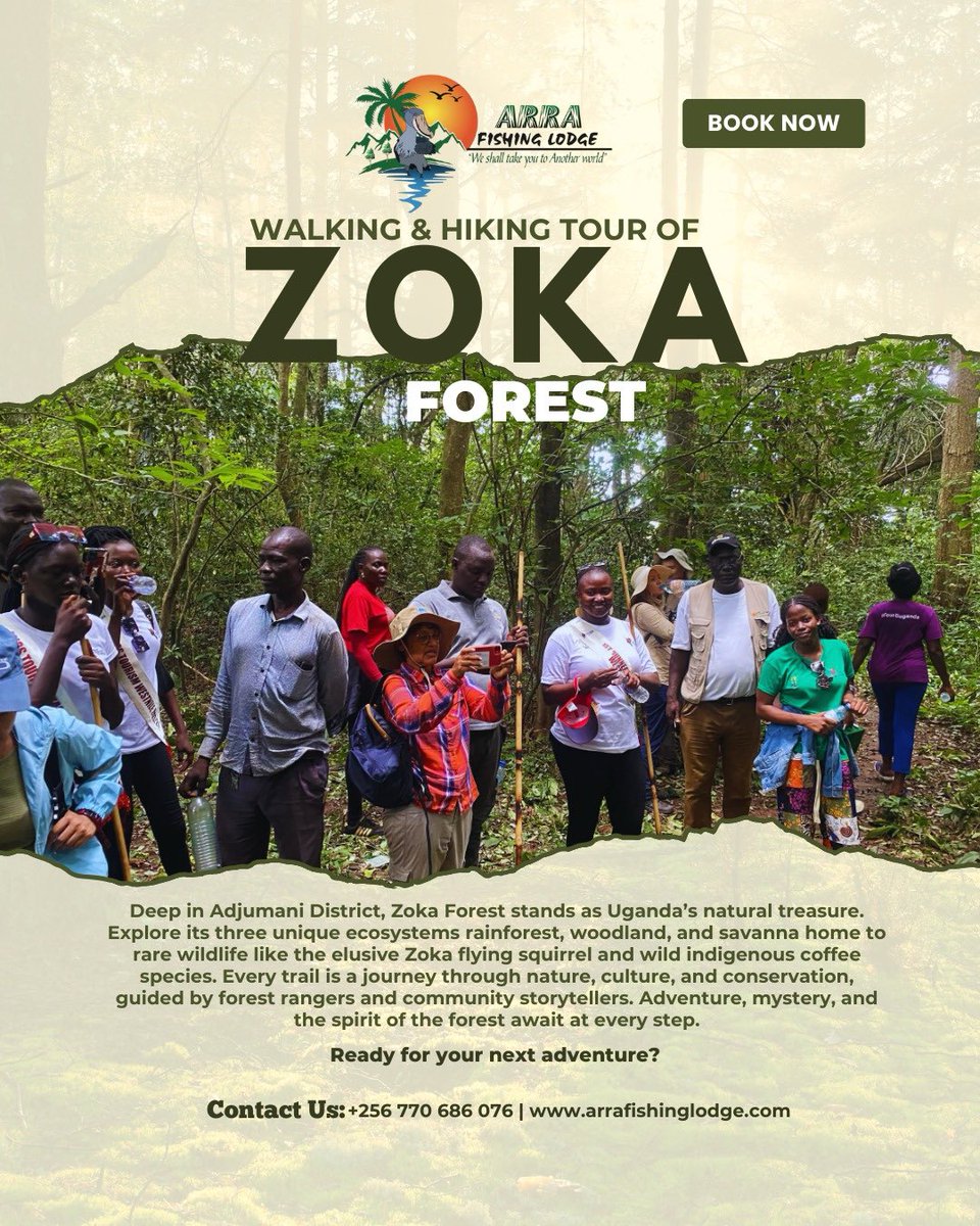 opigojimmy's tweet photo. @arralodges we have properly curated a walking & hiking tour of #Zoka where tourists can do a canopy walk, engage in bird & butterfly watching, have a chance to sight a flying squirrel, experience the cool forest modified climate, drink the medicinal Zoka river, contribute to conservation and see indigenous coffee