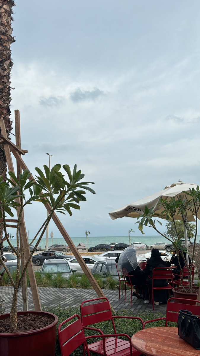 غاده. tweet media