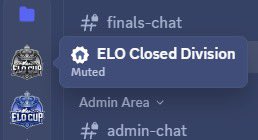 ELOCustoms tweet media