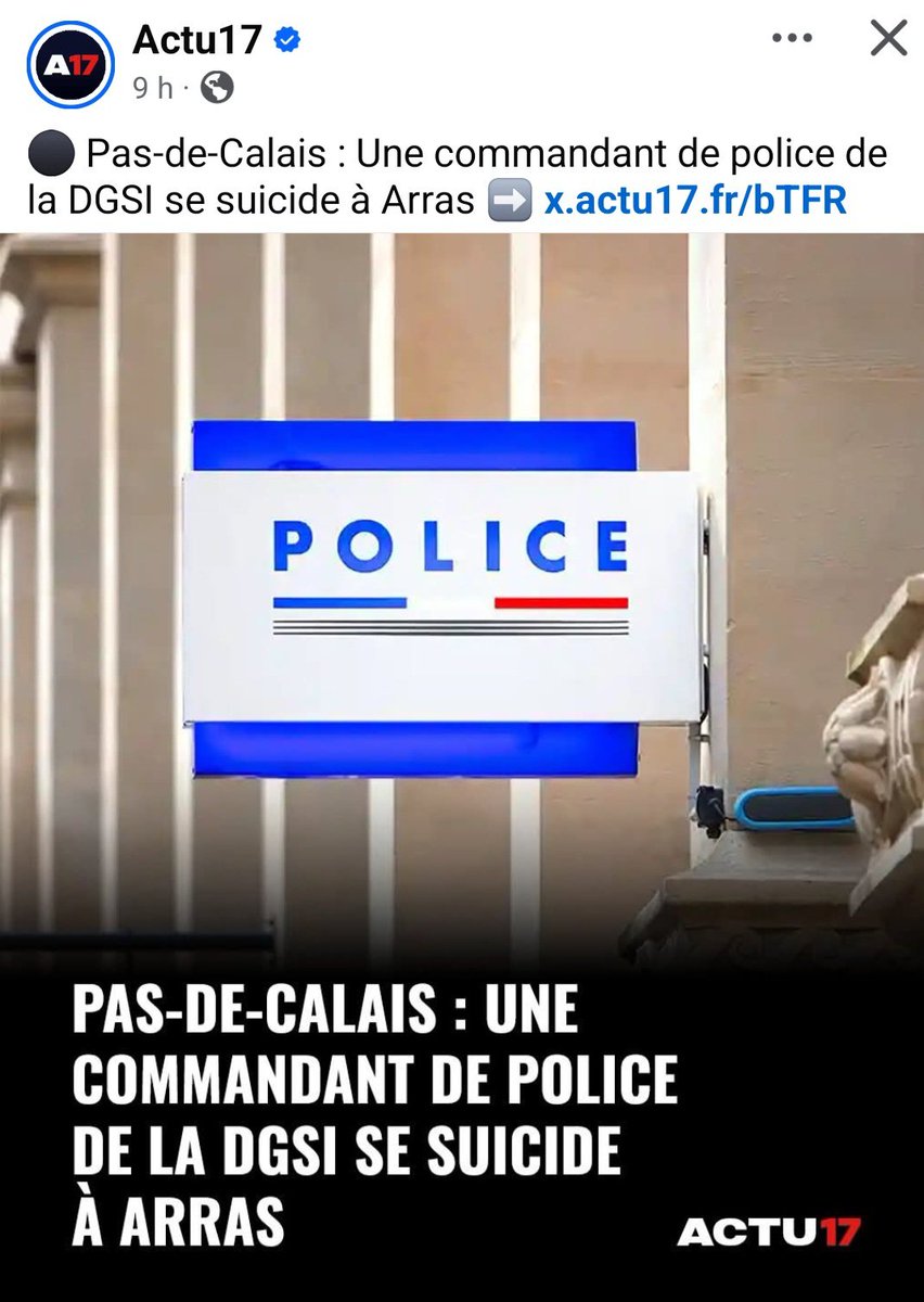 Aide Poule tweet media