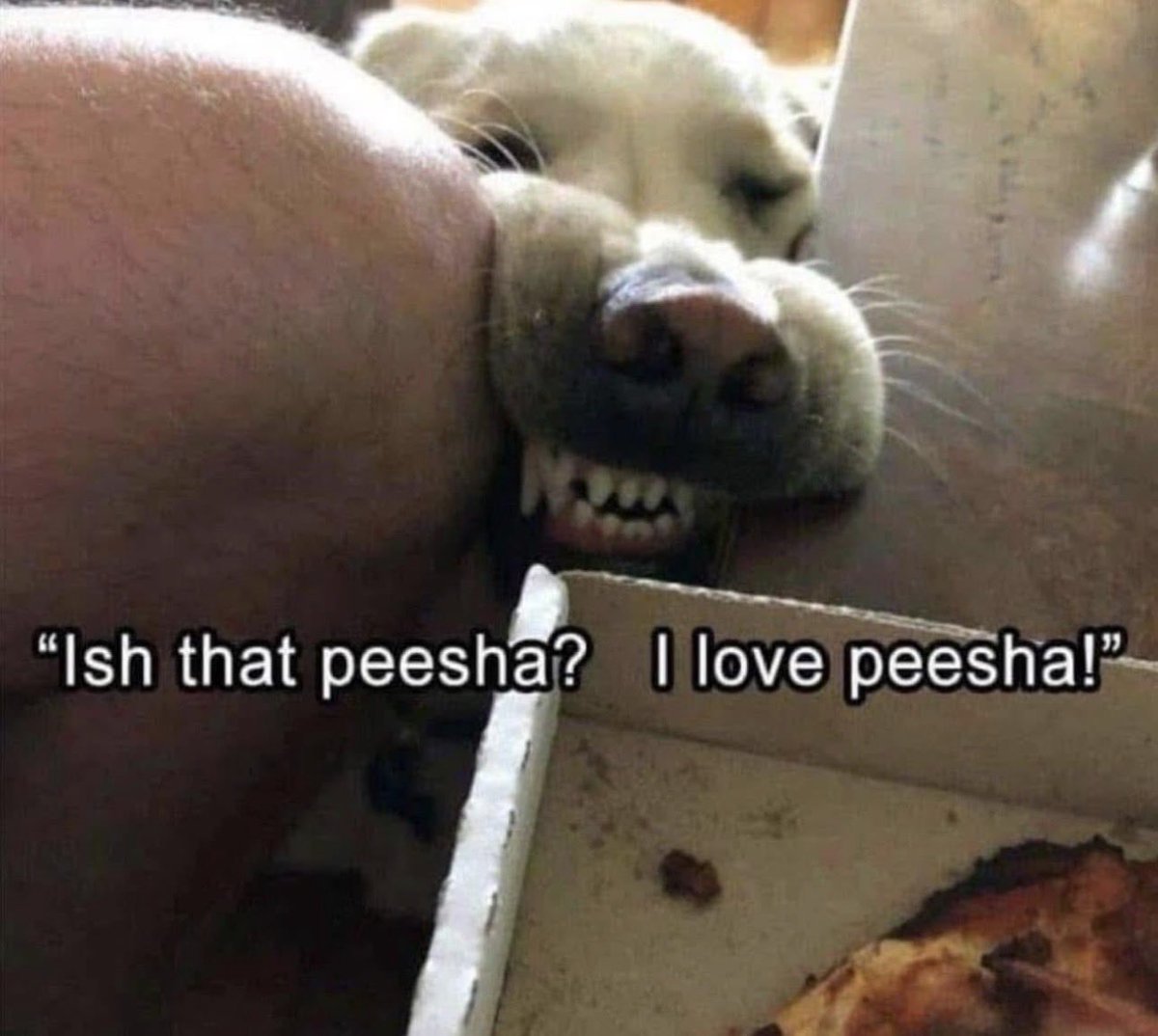 LMFAO, still one of my favorites