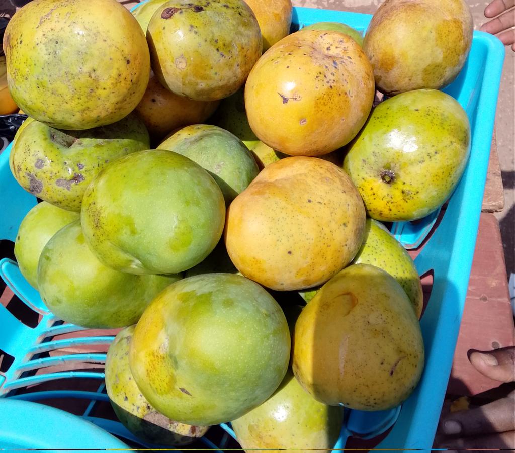 Jango Keez tweet media