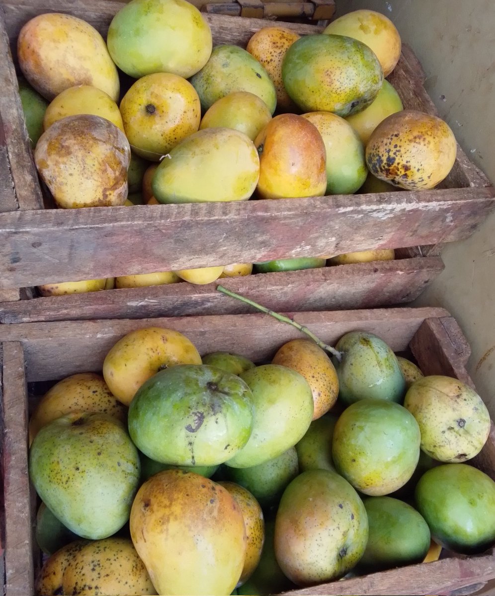 Jango Keez tweet media