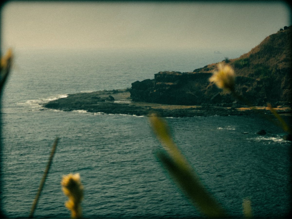 arthextic's tweet photo. somewhere, by the ocean https://t.co/Wh8zHXic3b