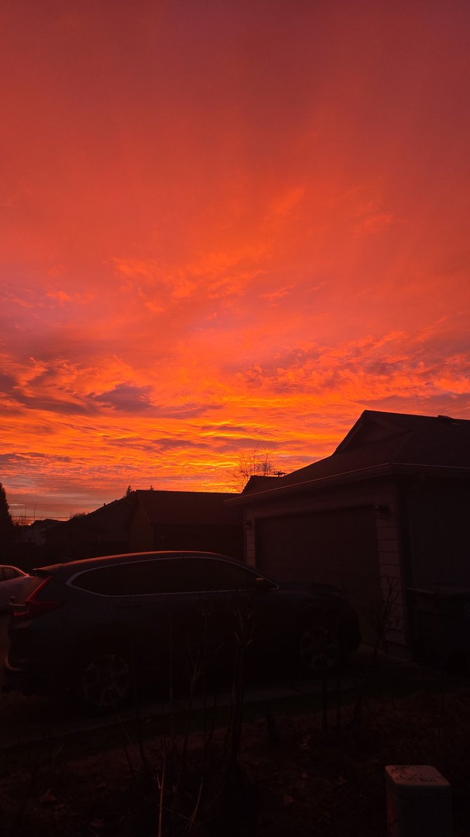 This winter sunrise needed to be shared... wow