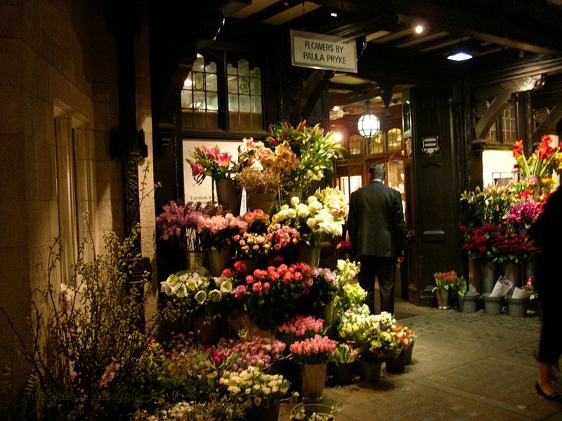 mi alma es un museo de todo lo que amo