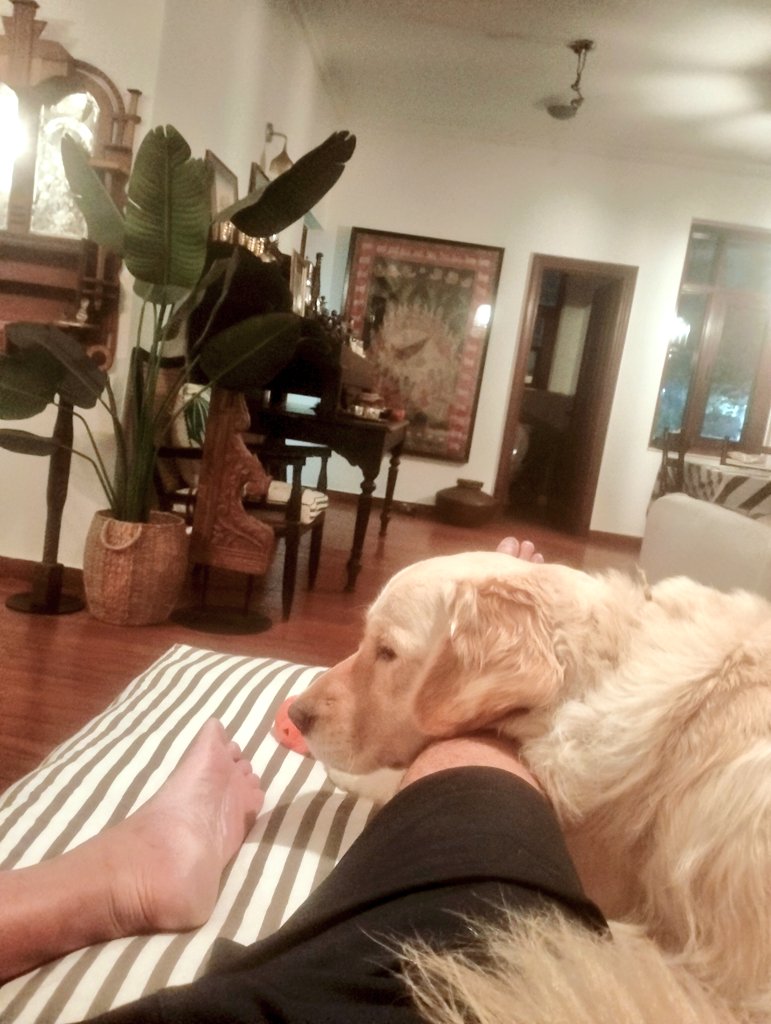 you come home to this.
#bliss