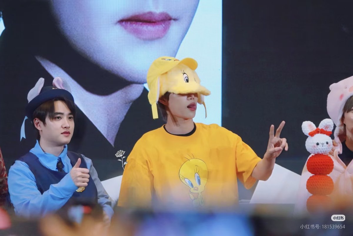 doindae's tweet photo. 🐧🐻 ❌
🐰🦊 ✅ 
cr.https://t.co/oiTM9LqA05 https://t.co/WUUWu5VmeA