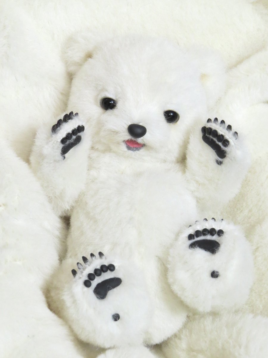 Post by ゆーや🧸テディベアアーティスト🧸 on X: そっと…