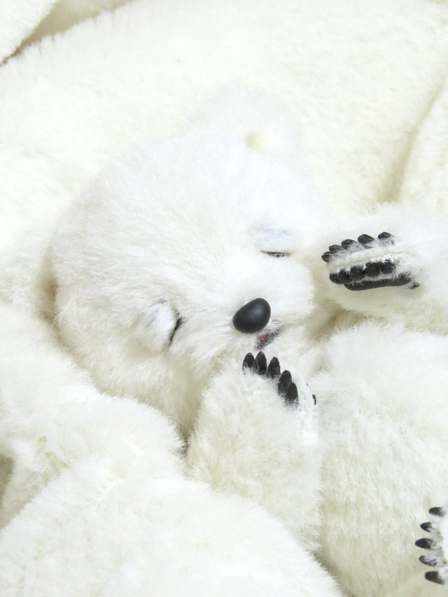 Post by ゆーや🧸テディベアアーティスト🧸 on X: そっと…