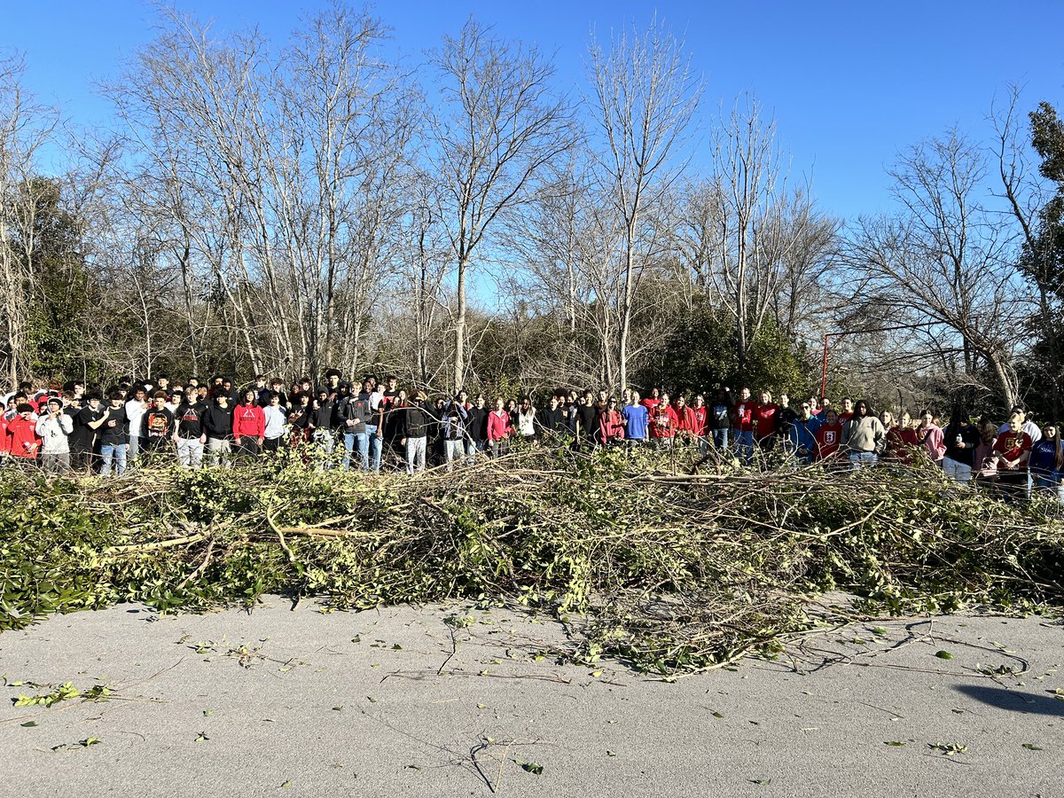Belton Tigers tweet media