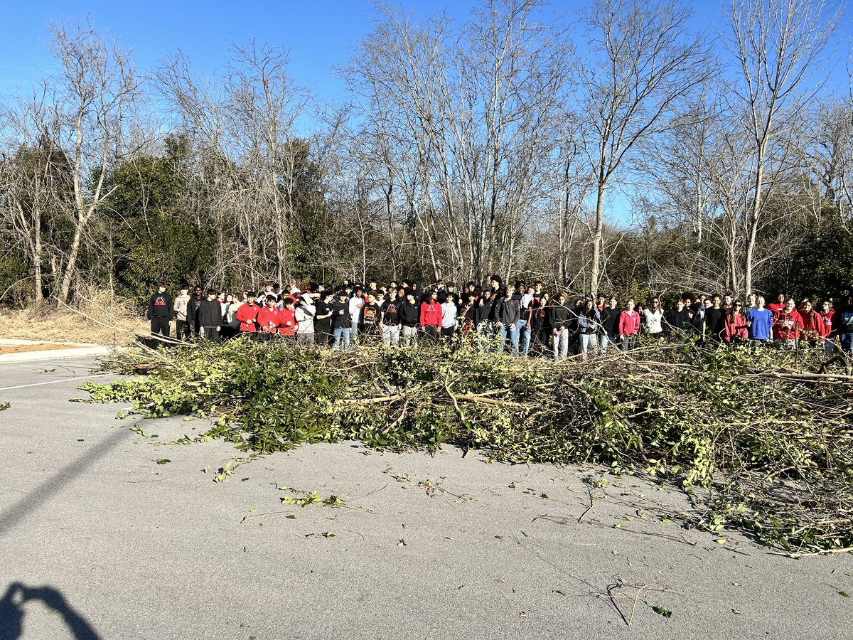 Belton Tigers tweet media