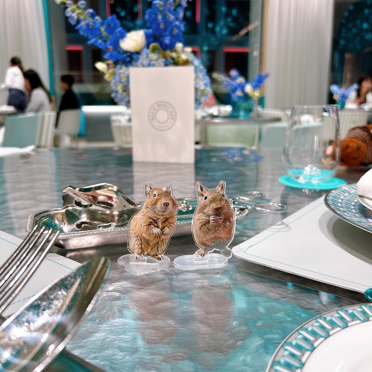 モリコ (@morico_design) / Posts / X