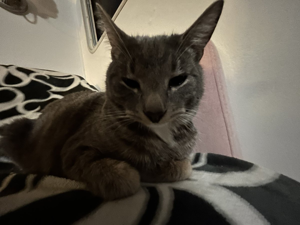 Dead Space by Daylight tweet media