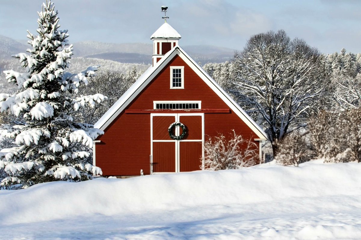 MrsSarahZee's tweet photo. Another day in New Hampshire, where the winter is cold, and the people are strong. https://t.co/jjhkKYlqAJ