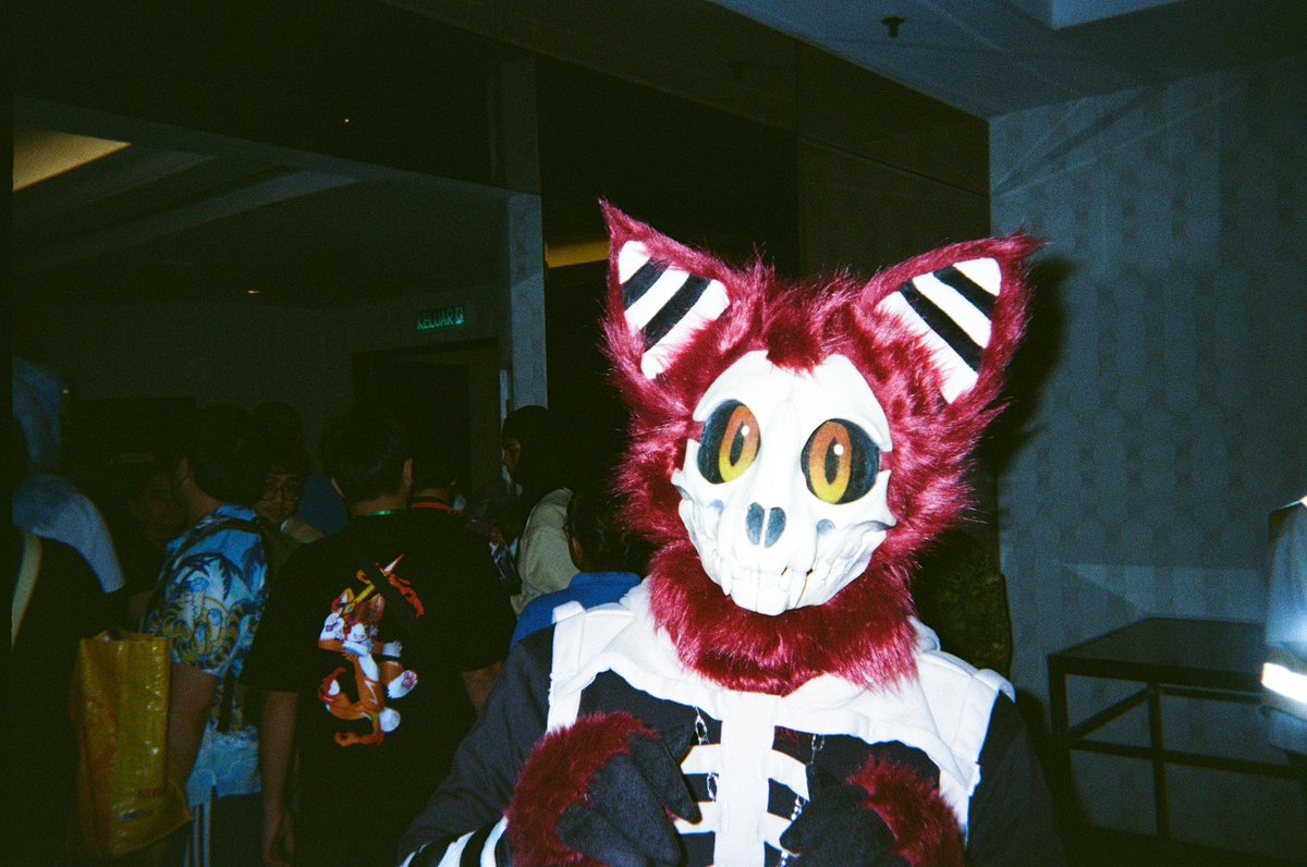 𝕽𝖎𝖙𝖟 ➵ LIFC, IWAG tweet media