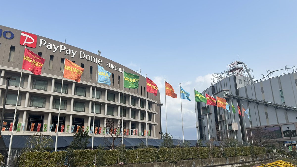 2026年 ライブ始め