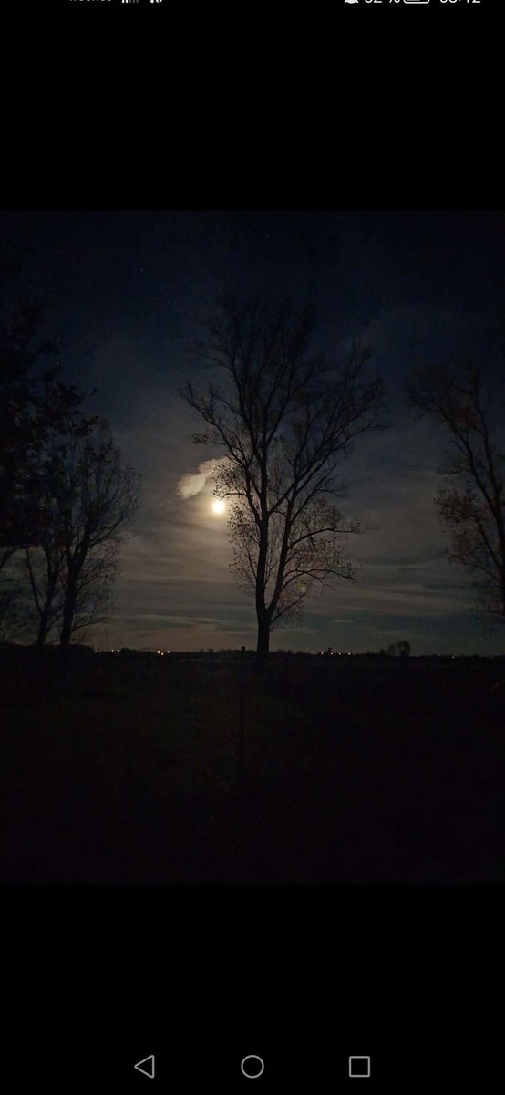 GOOD NİGHT 

I hope today has been a profitable day for you and one with many followers.