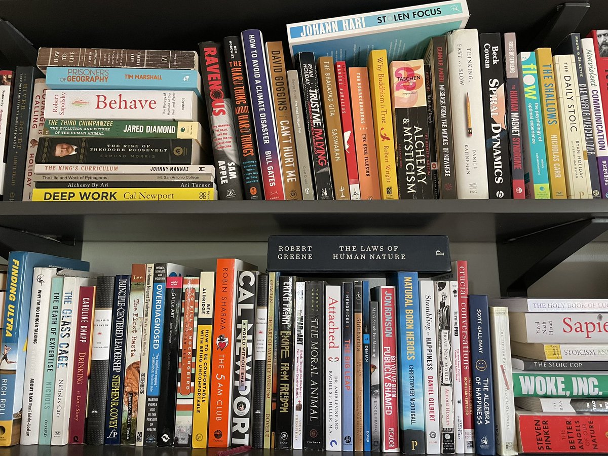 BookLab by Bjorn tweet media