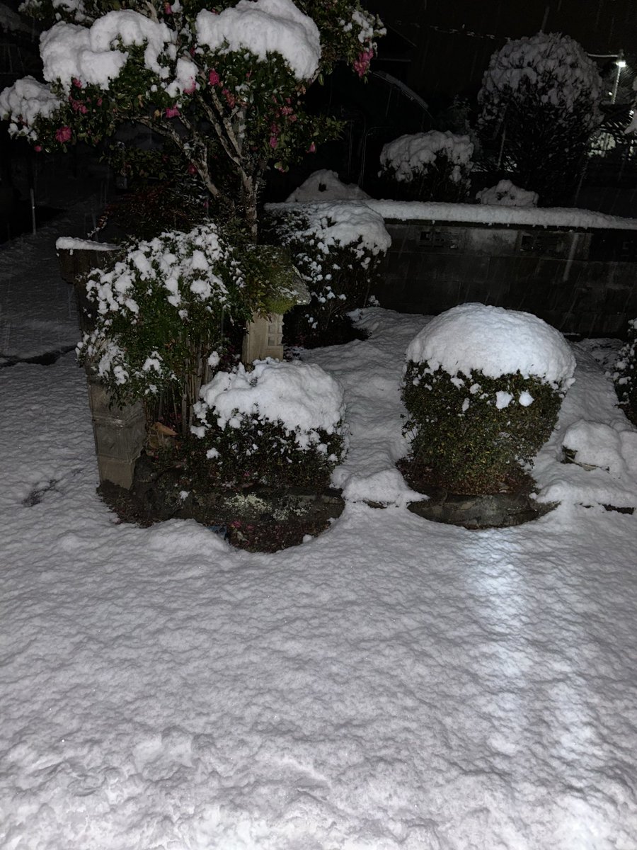 知らん間に積もってた